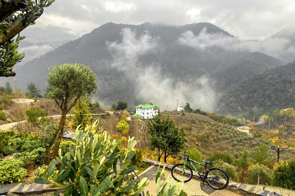 Photo of Outdoor in Feke