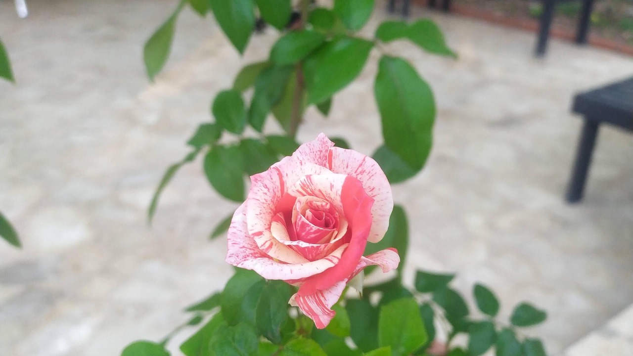 Photo of Outdoor in Faralya