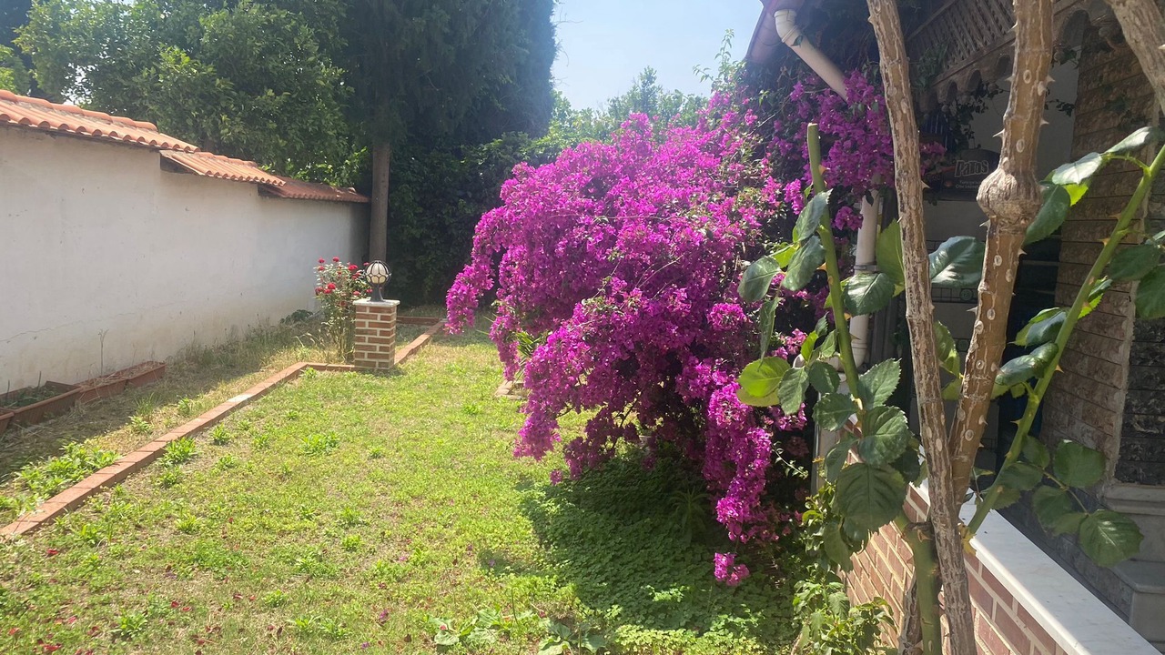 Photo of Outdoor in Soke