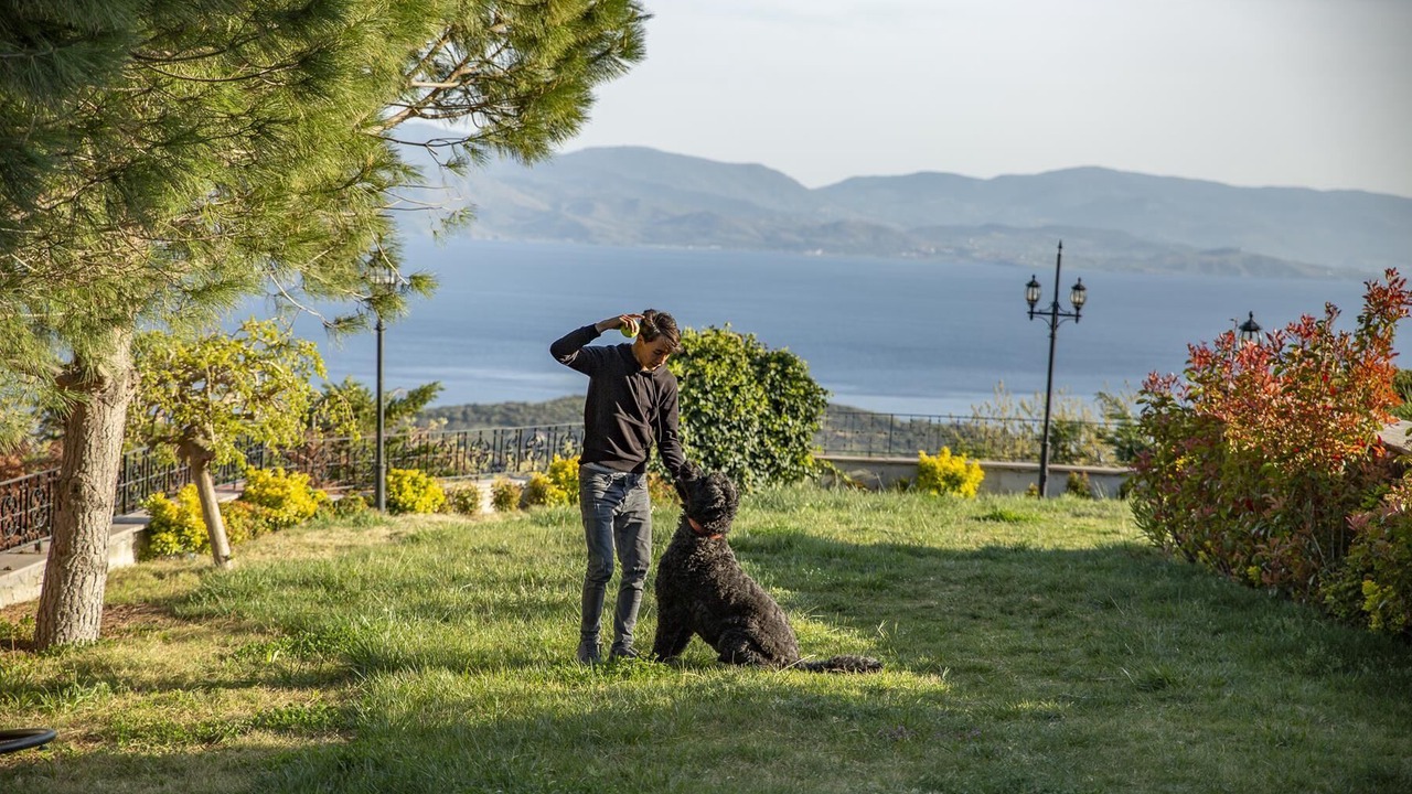 Photo of Outdoor in Ayvacik