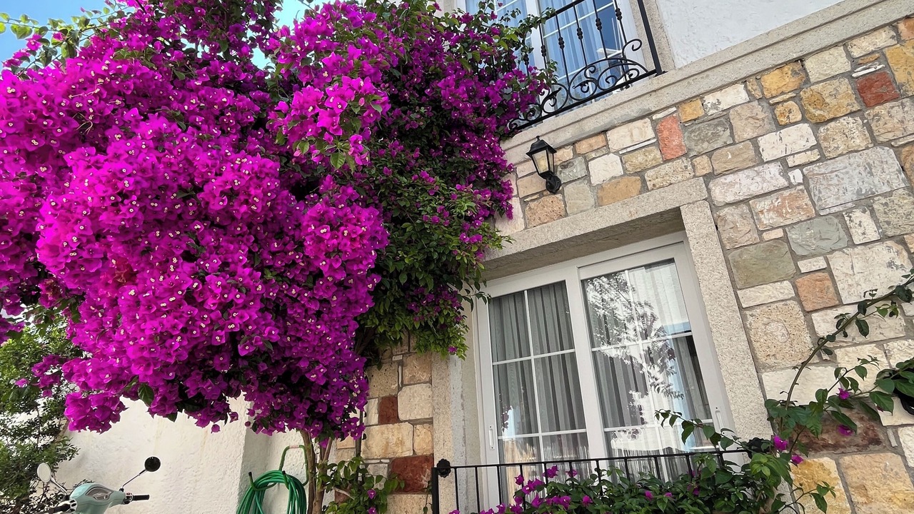 Photo of Outdoor in Cesme