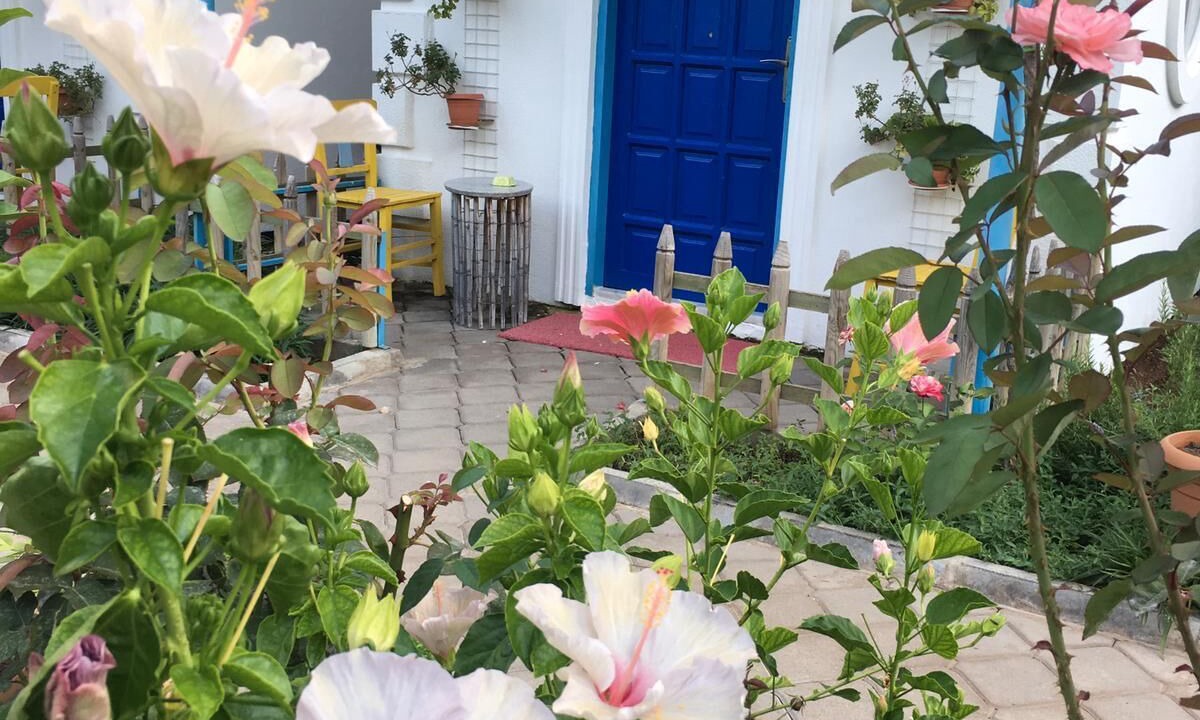Photo of Outdoor in Oludeniz City Center