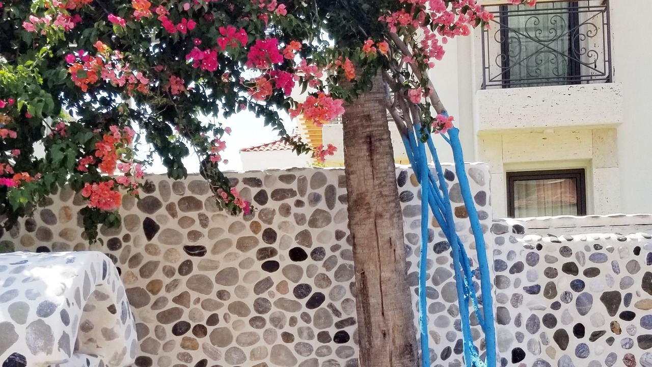 Photo of Outdoor in Oludeniz City Center
