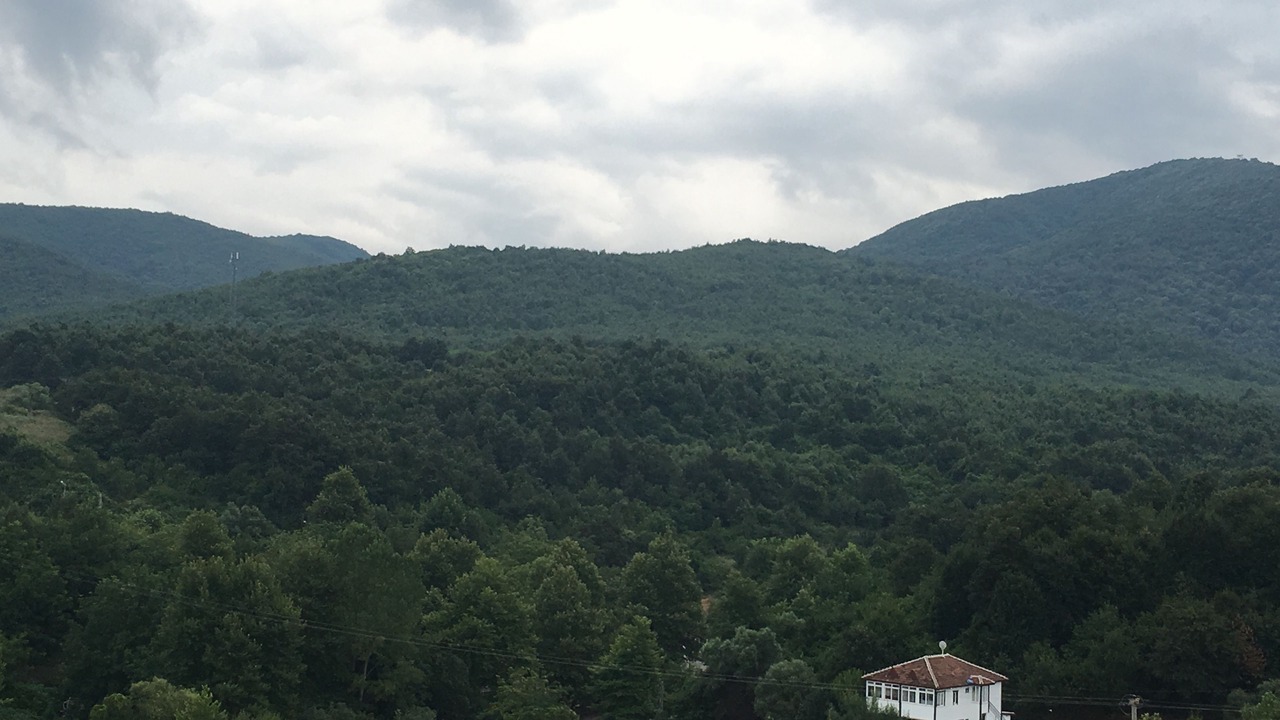 Photo of Outdoor in Yalova