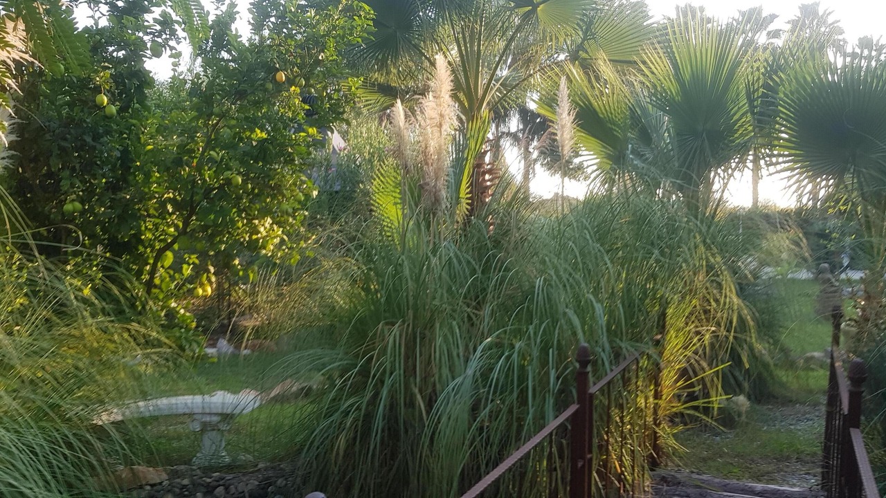 Photo of Outdoor in Dalaman