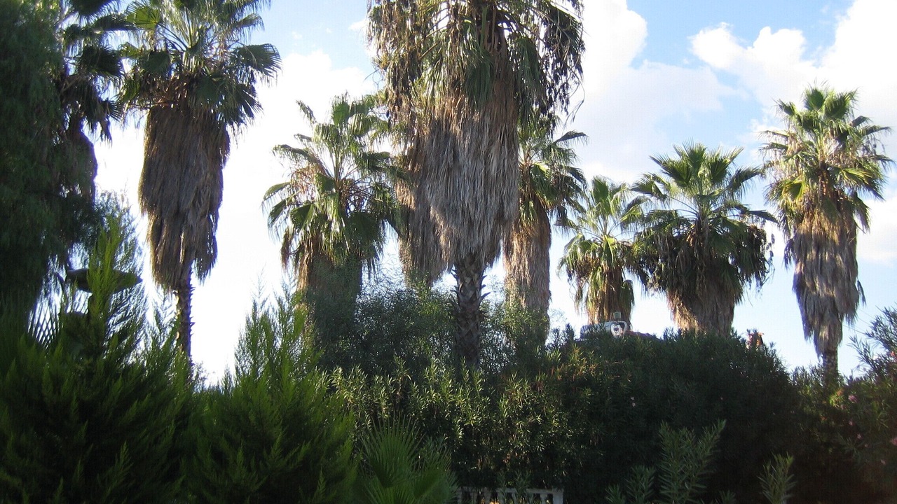 Photo of Outdoor in Dalaman