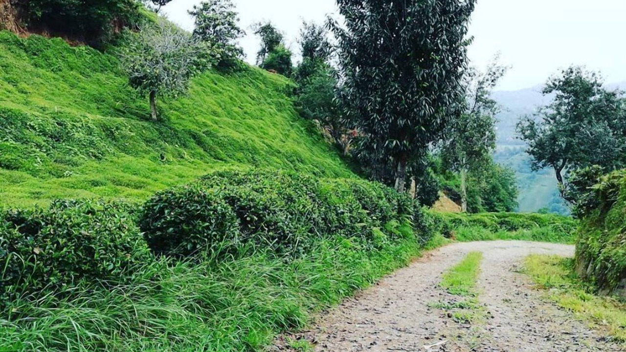 Photo of Outdoor in Ayder