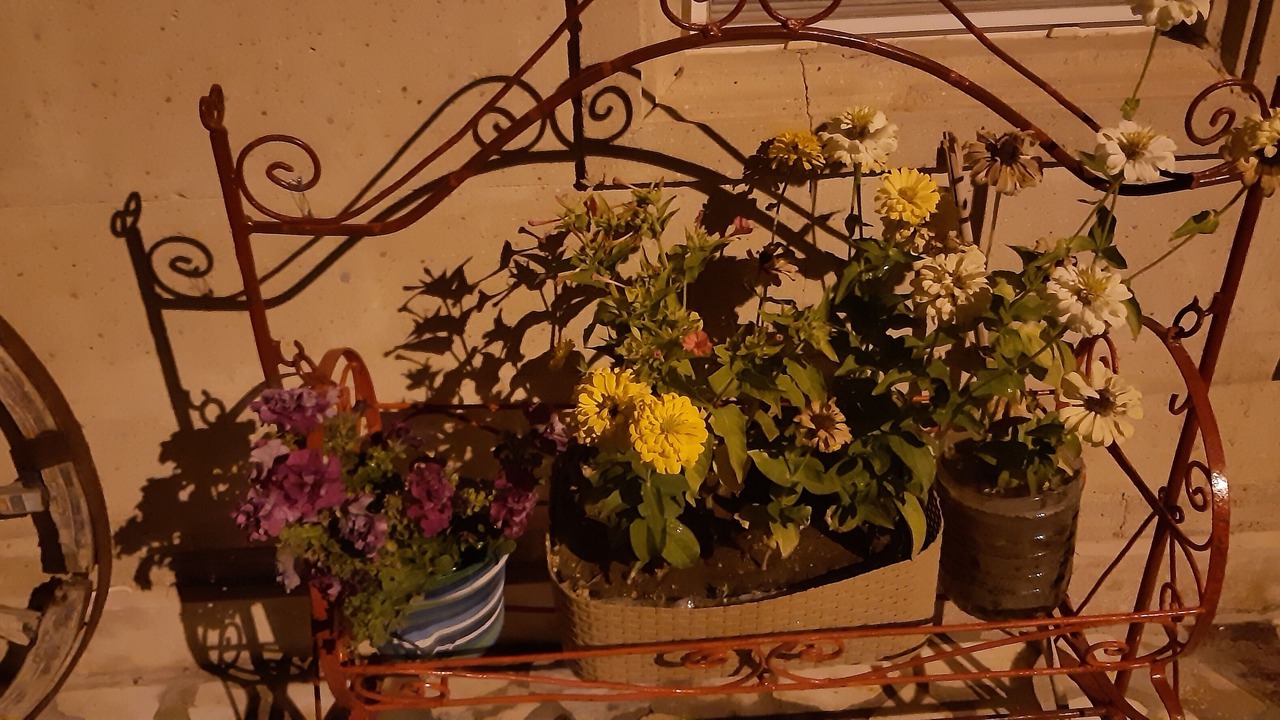 Photo of Patio Balcony in Mustafapasa