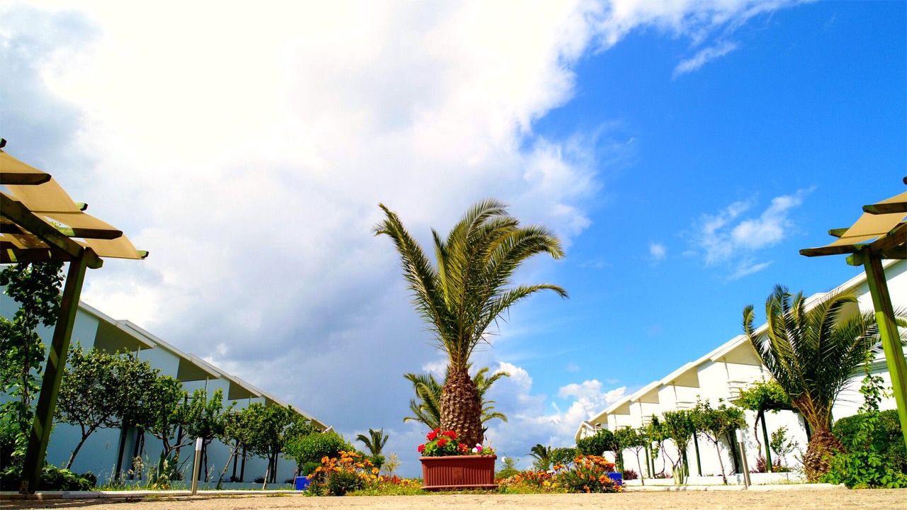 Photo of Outdoor in Zeytinli