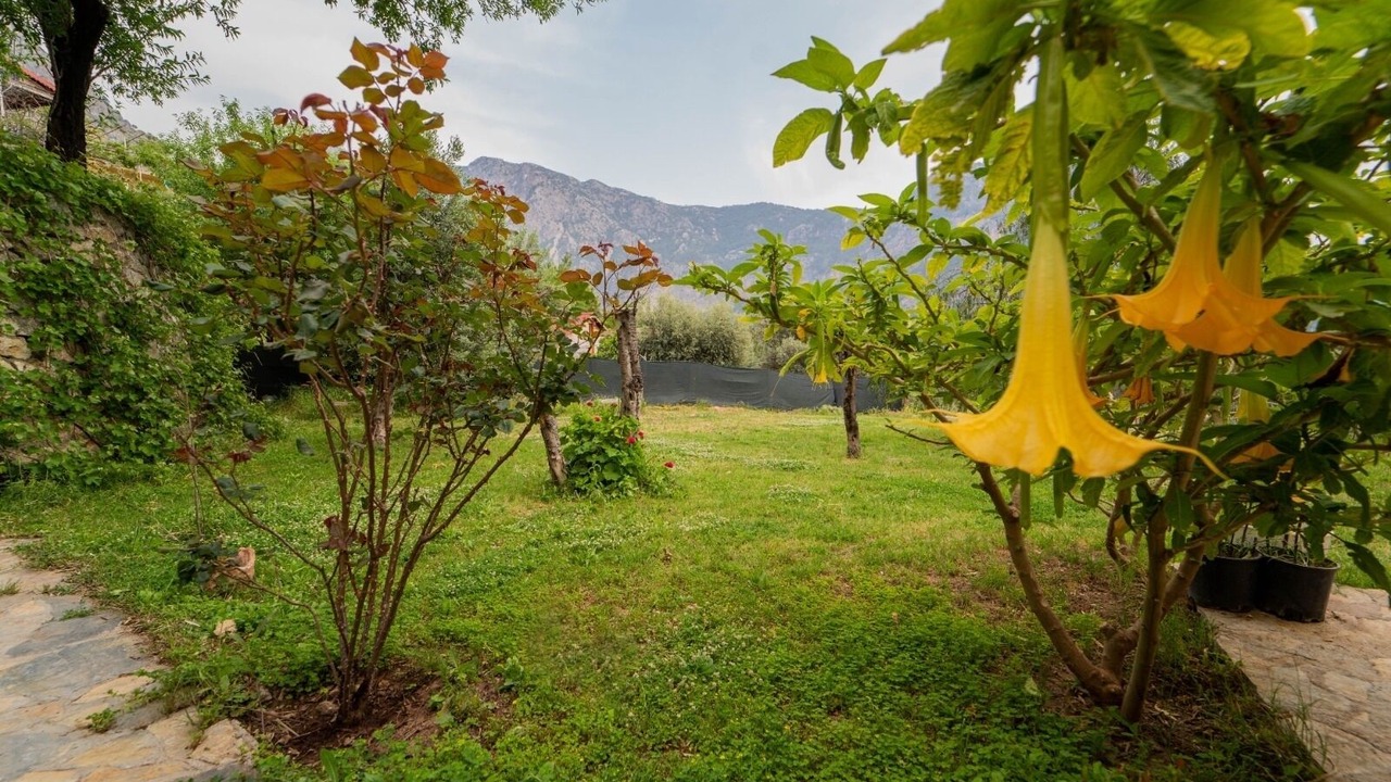 Photo of Outdoor in Faralya