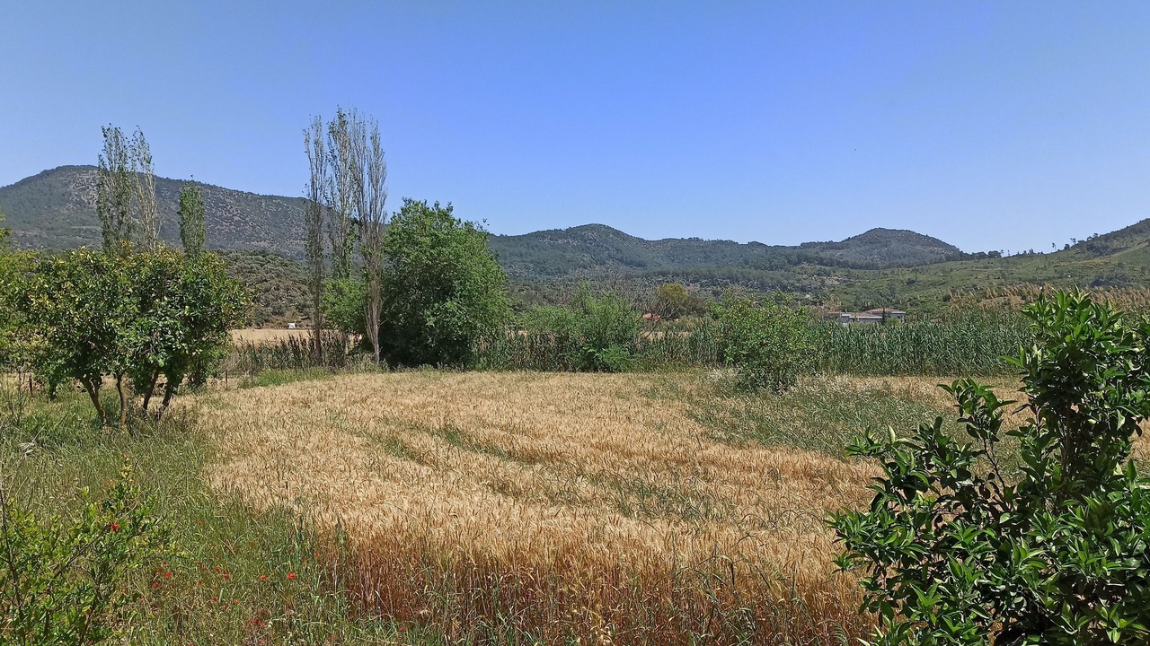 Photo of Bedroom in Dalaman