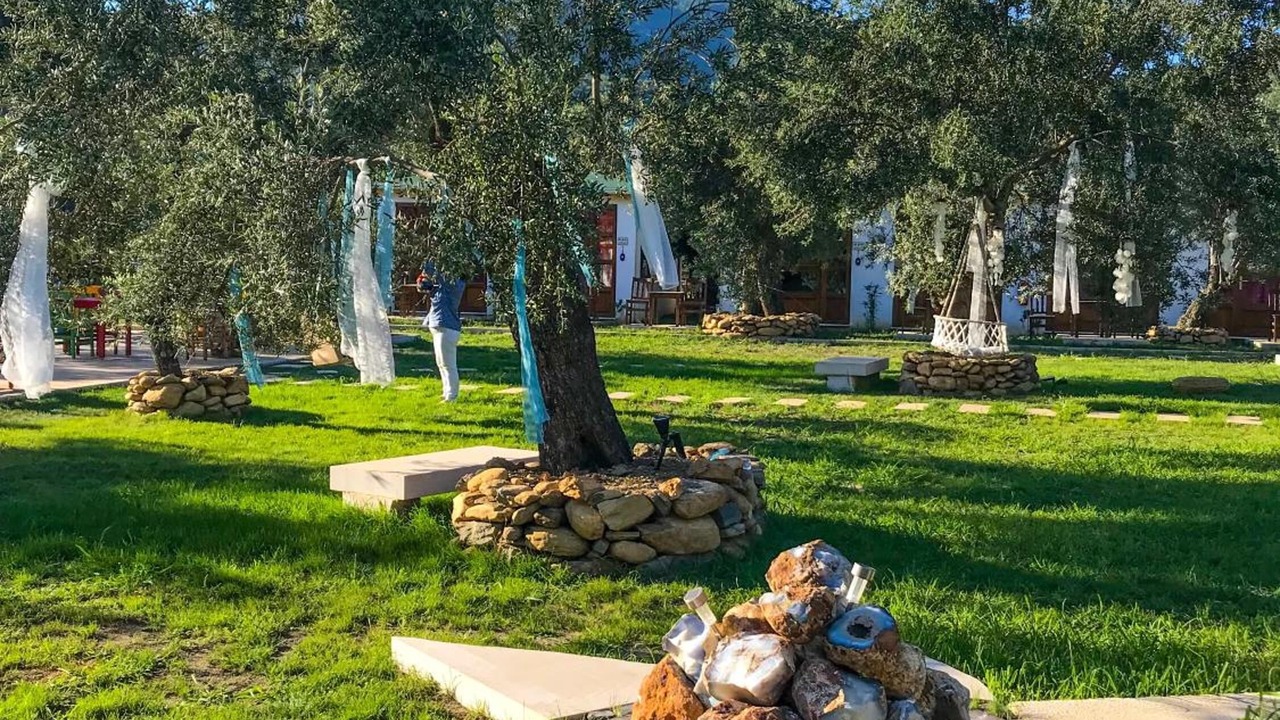 Photo of Outdoor in Zeytinli