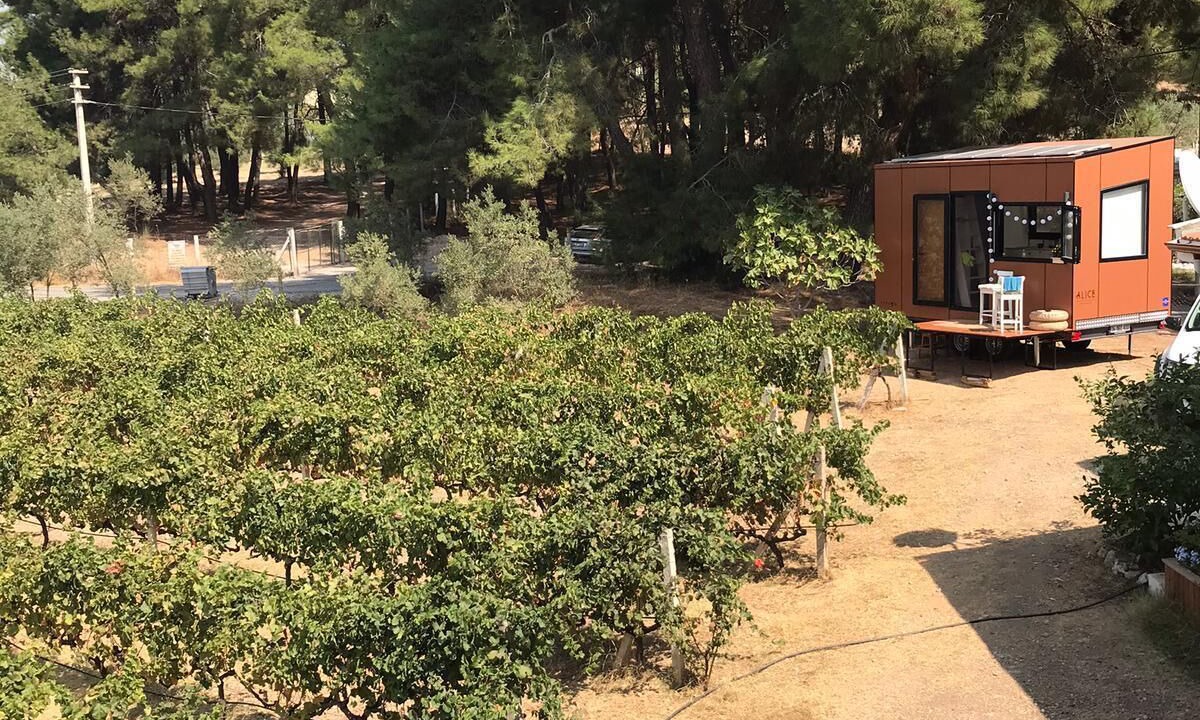 Photo of Outdoor in Menderes