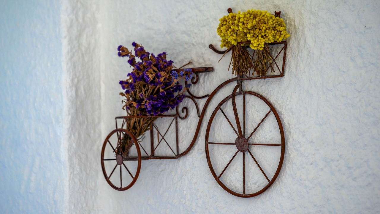 Photo of Outdoor in Hacımemis