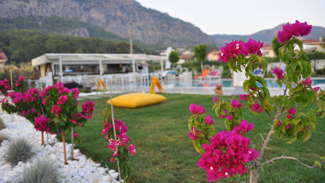 Photo of Outdoor in Gocek