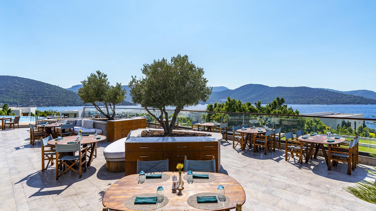 Photo of Others in Torba