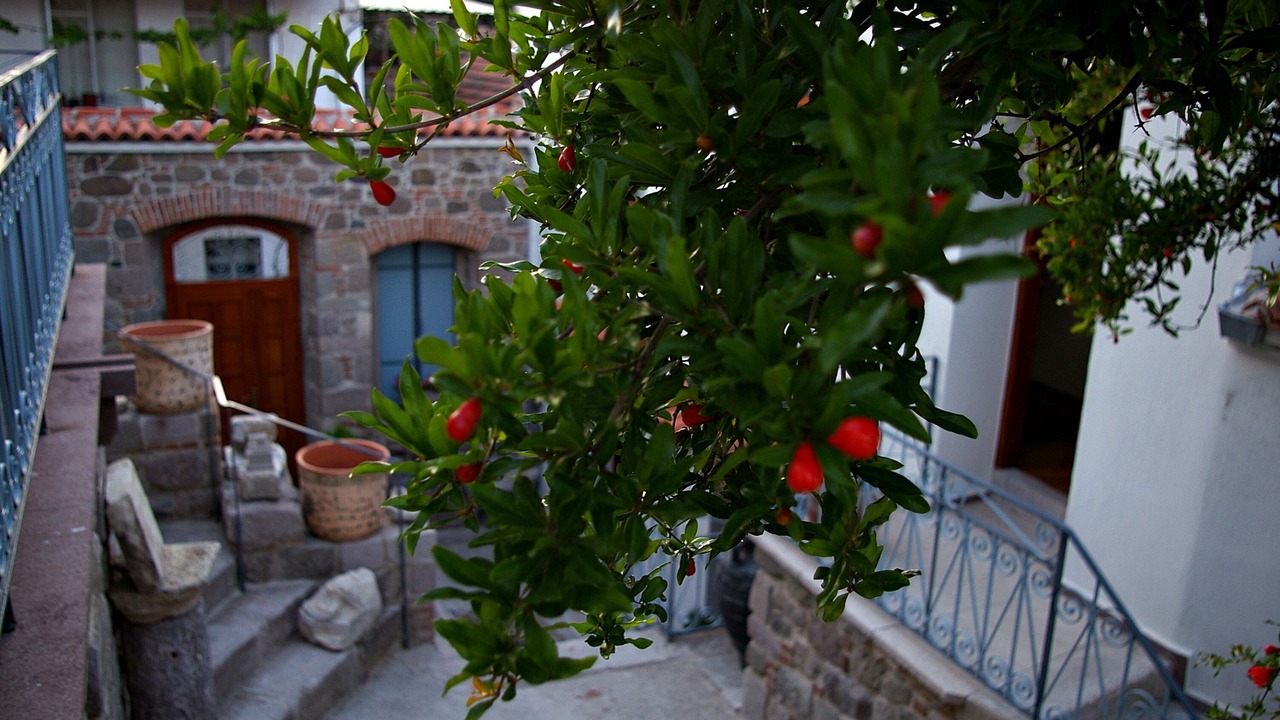 Photo of Bedroom in Bergama