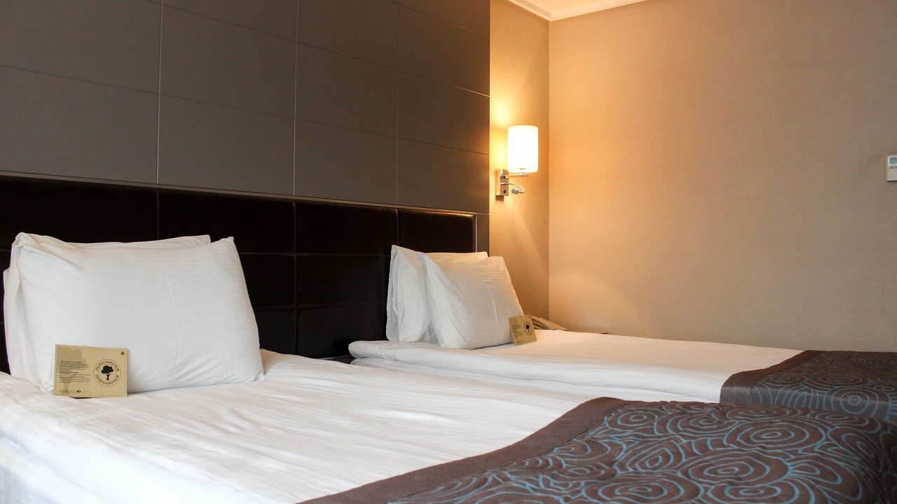 Photo of Bedroom in Ankara City Center