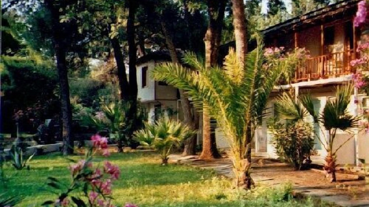 Photo of Outdoor in Oren Mahallesi