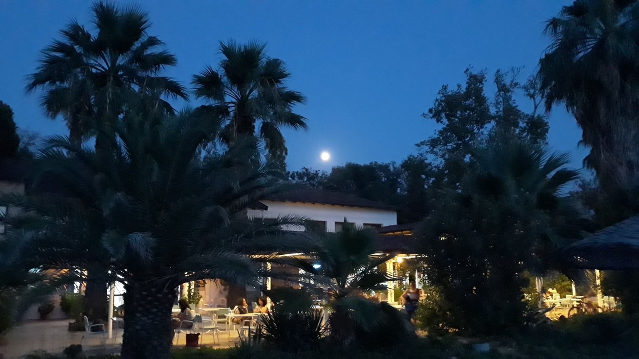 Photo of Outdoor in Oren Mahallesi