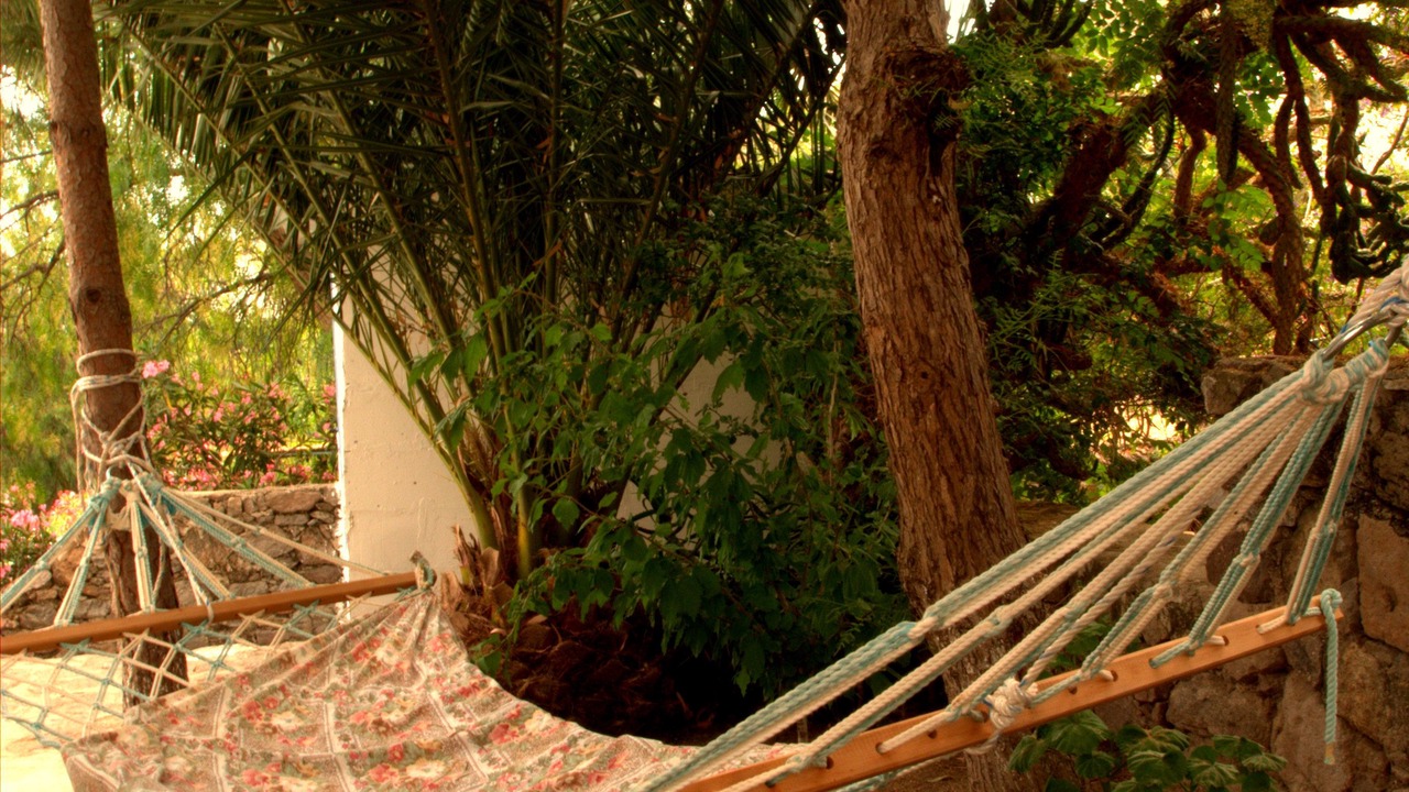Photo of Outdoor in Golturkbuku
