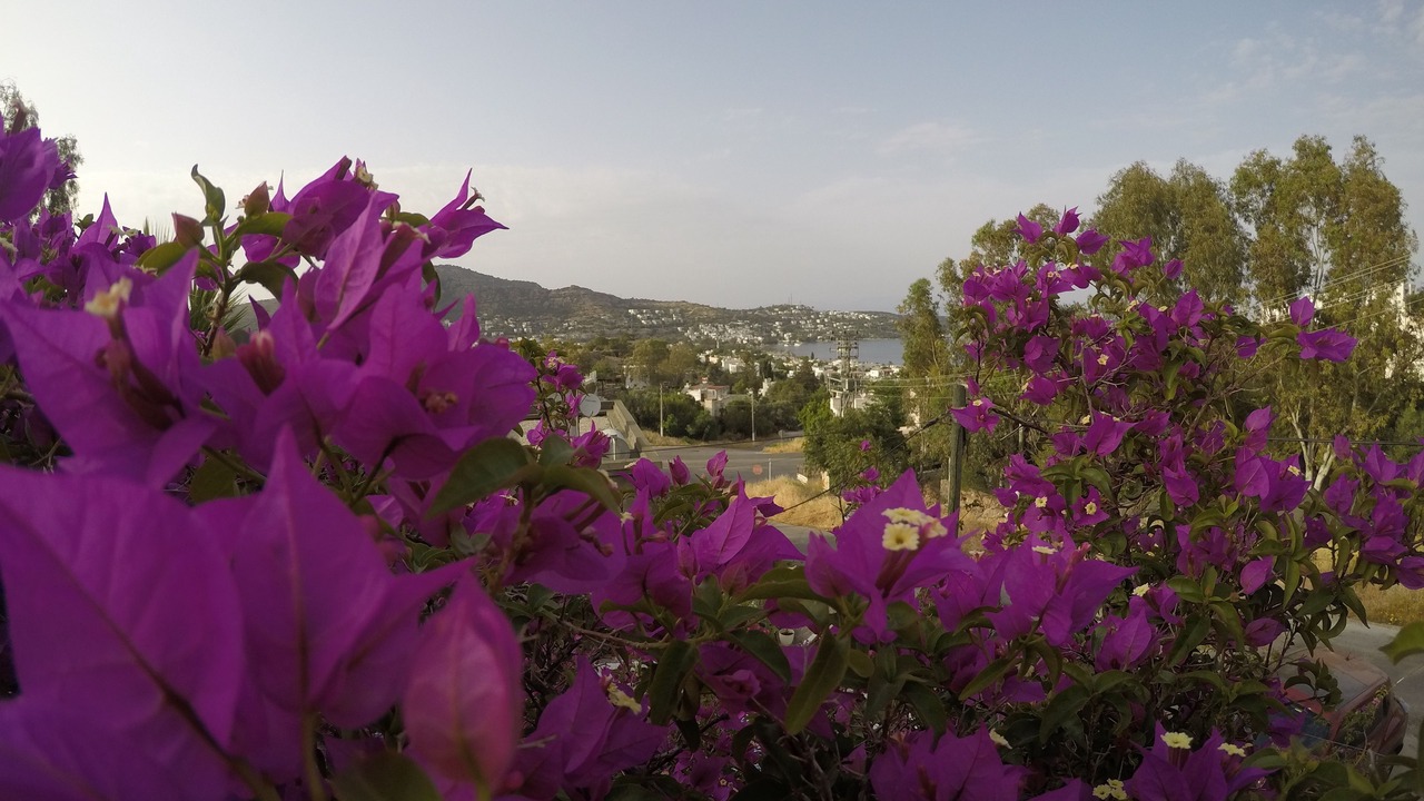 Photo of Patio Balcony in Golturkbuku