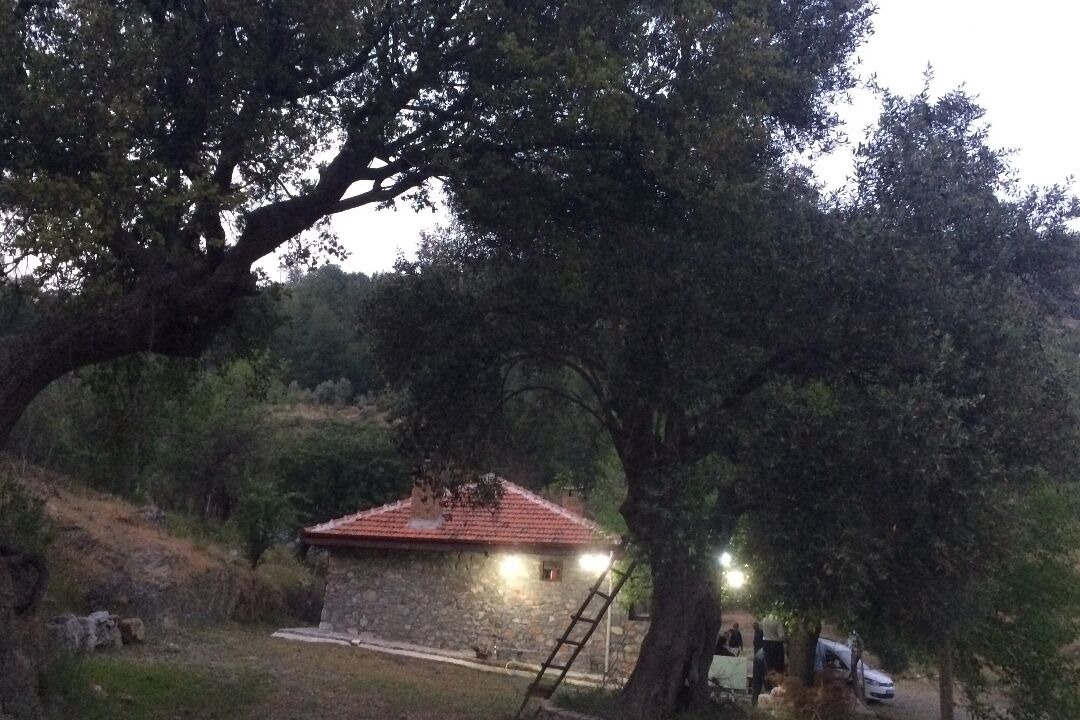 Photo of Others in Ortaca