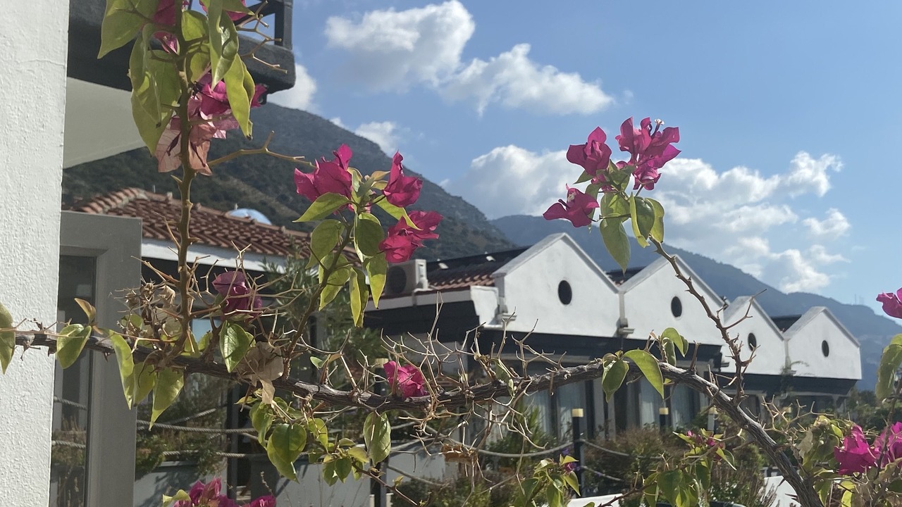 Photo of Outdoor in Oludeniz City Center