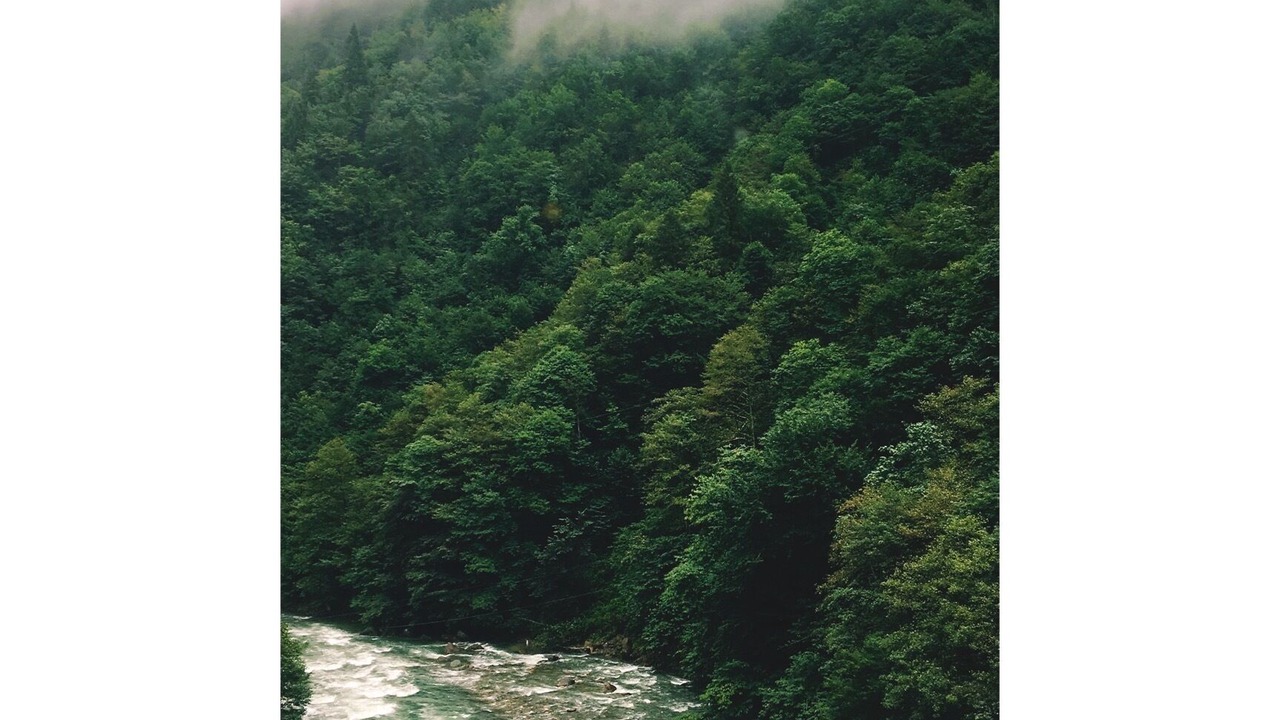Photo of Outdoor in Ayder
