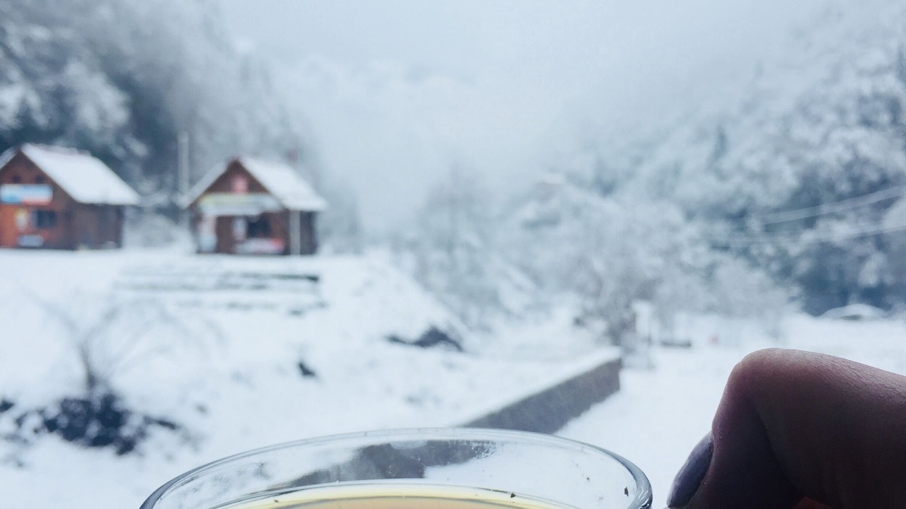 Photo of Others in Ayder