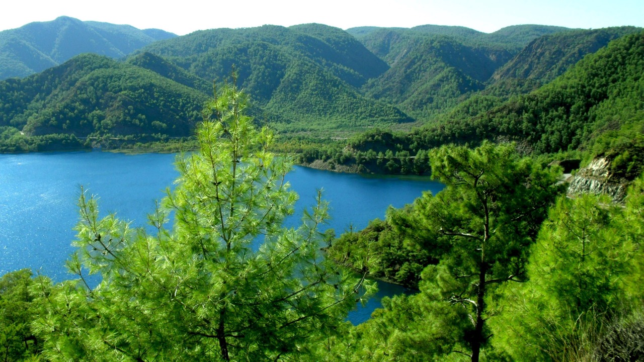 Photo of Others in Koycegiz