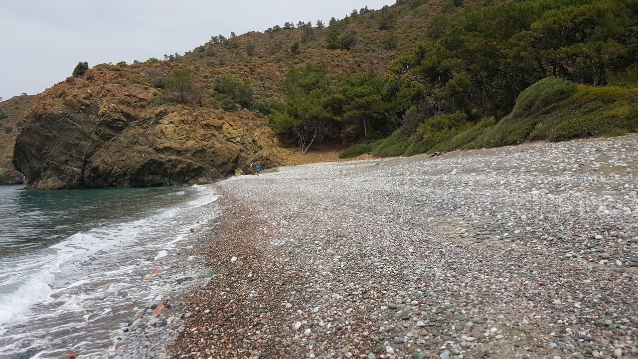 Photo of Others in Datca