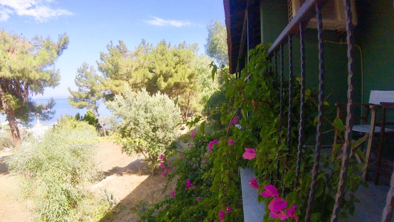 Photo of Outdoor in Ozdere