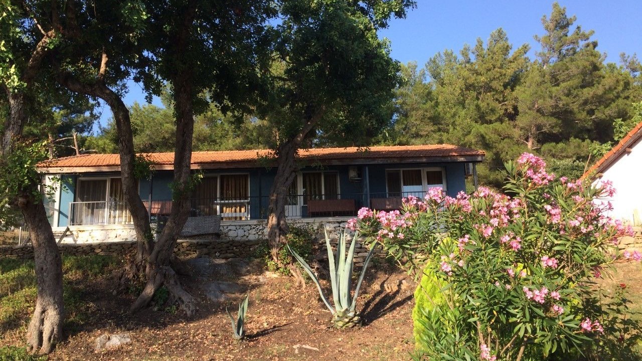 Photo of Outdoor in Ozdere