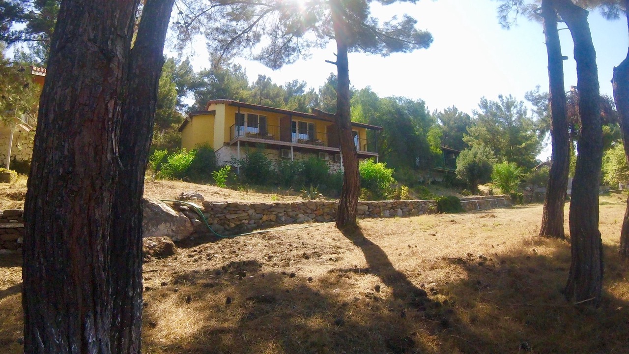 Photo of Outdoor in Ozdere
