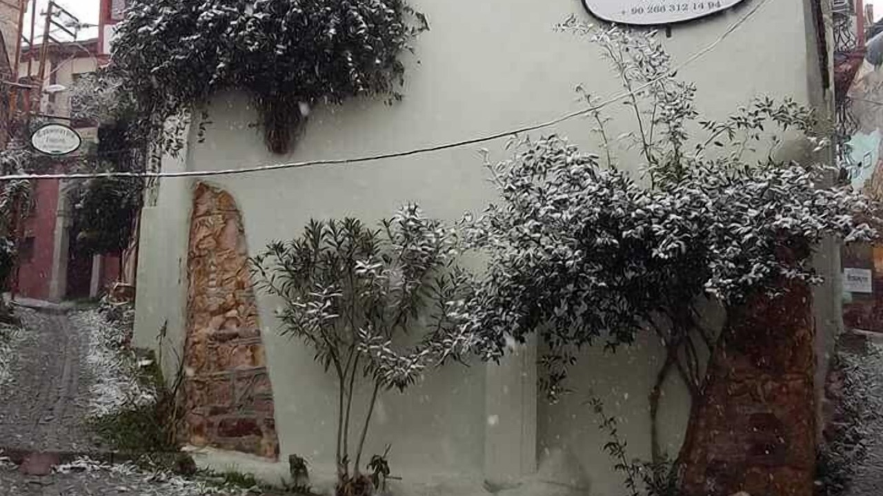 Photo of Outdoor in Ayvalik City Center