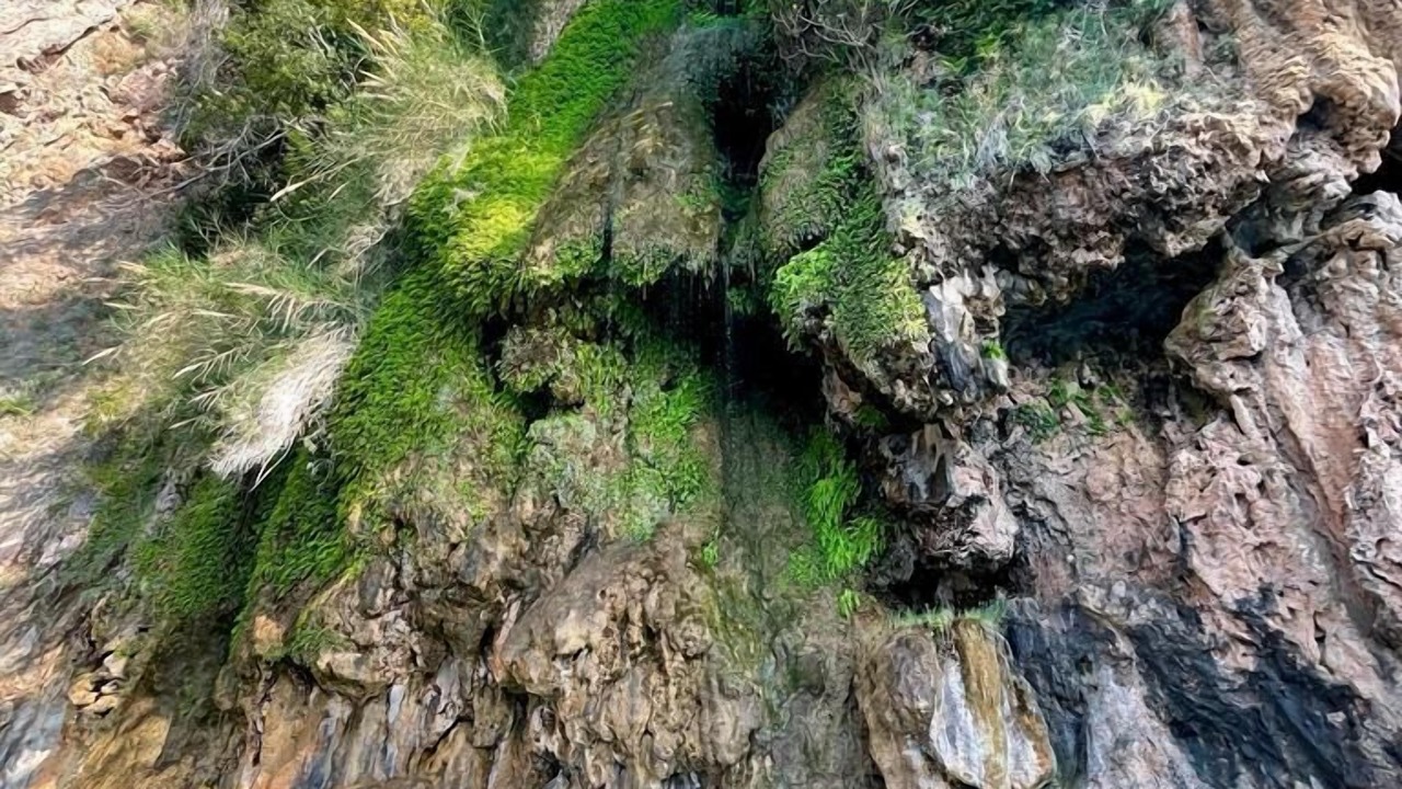 Photo of Outdoor in Kabak Valley