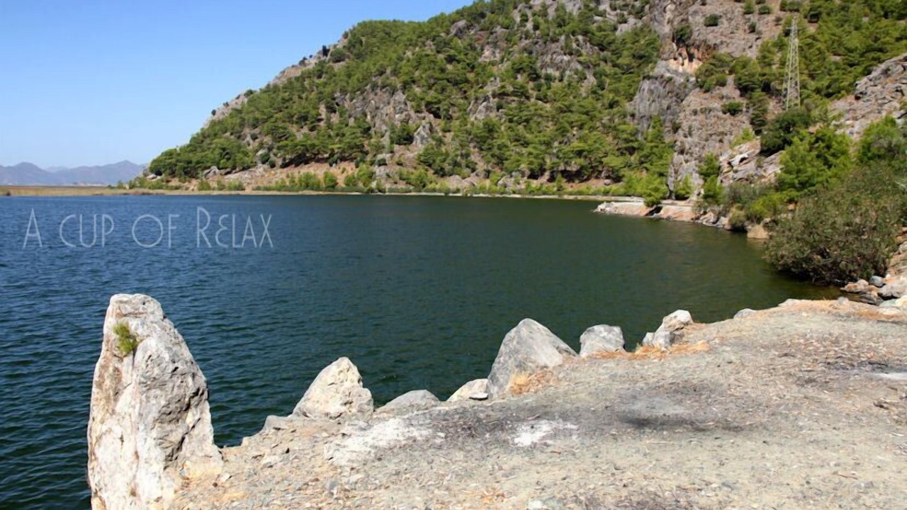 Photo of Others in Dalyan City Center