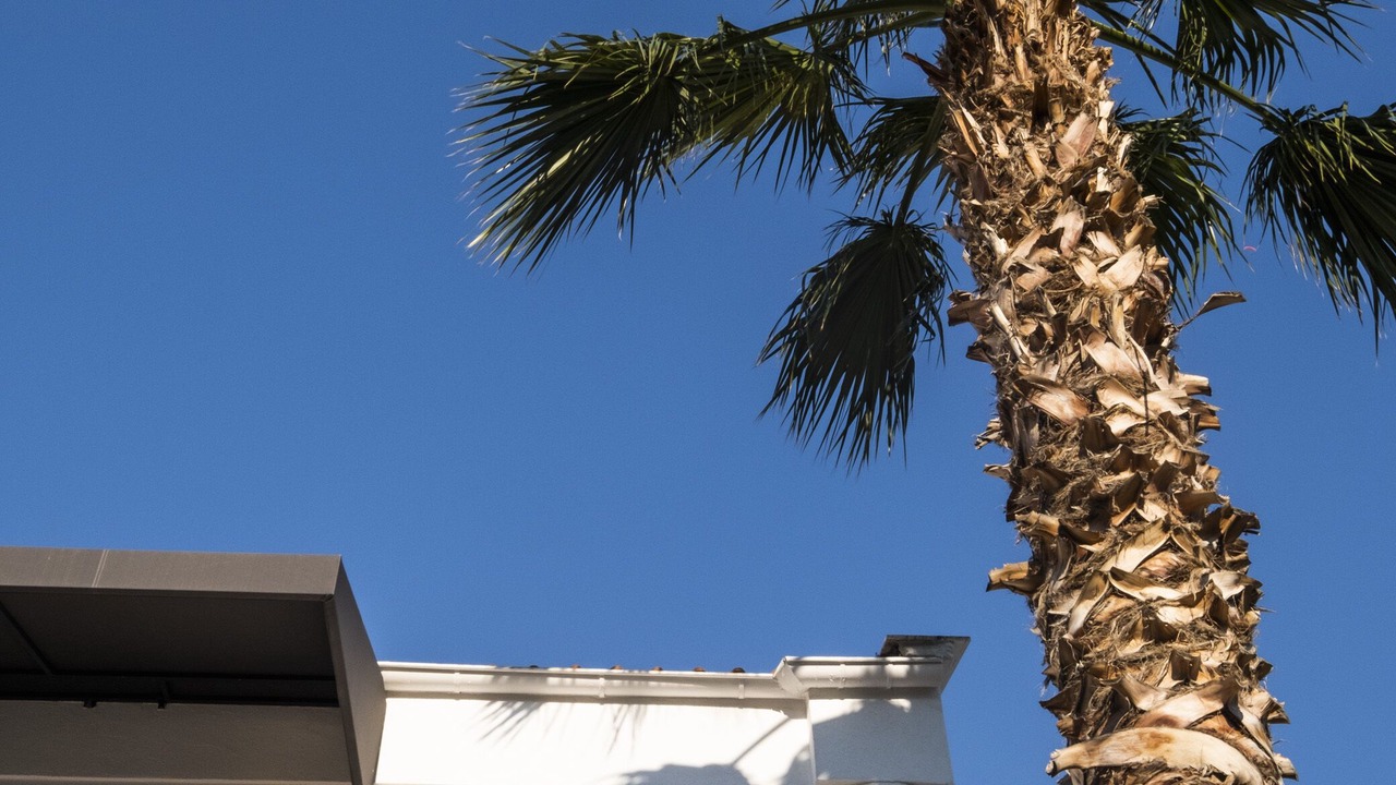 Photo of Outdoor in Oludeniz City Center