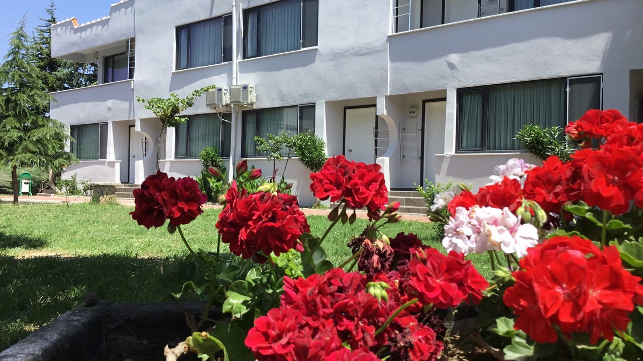 Photo of Outdoor in Eceabat
