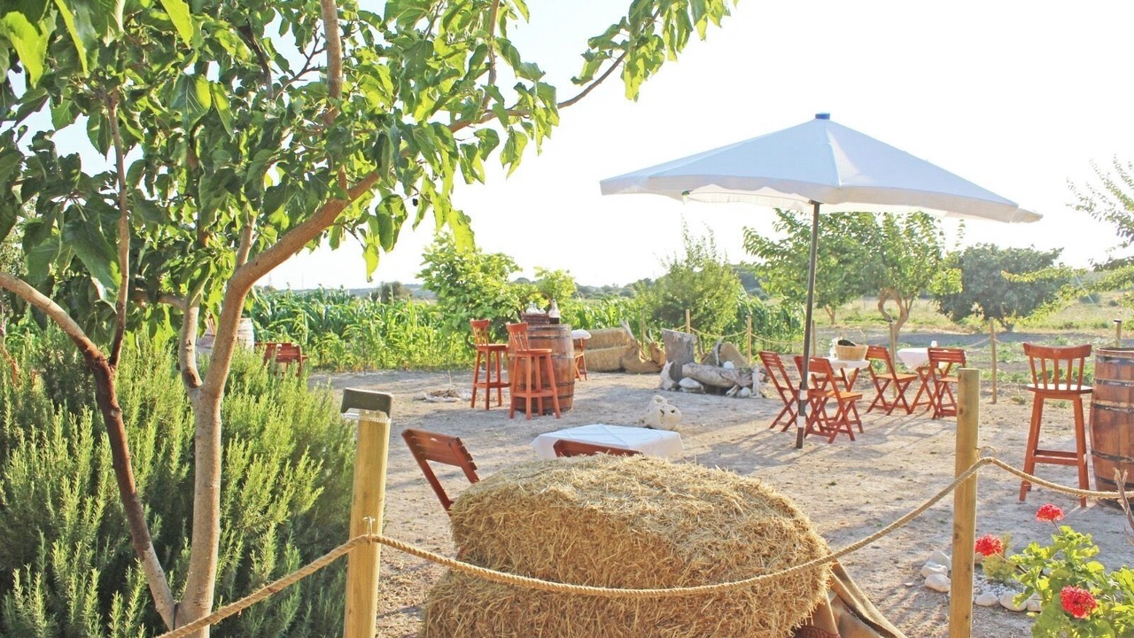 Photo of Others in Bozcaada