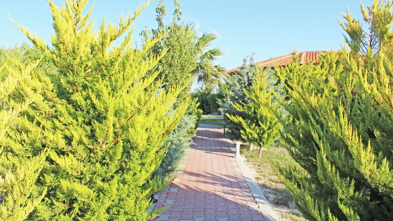 Photo of Outdoor in Bozcaada