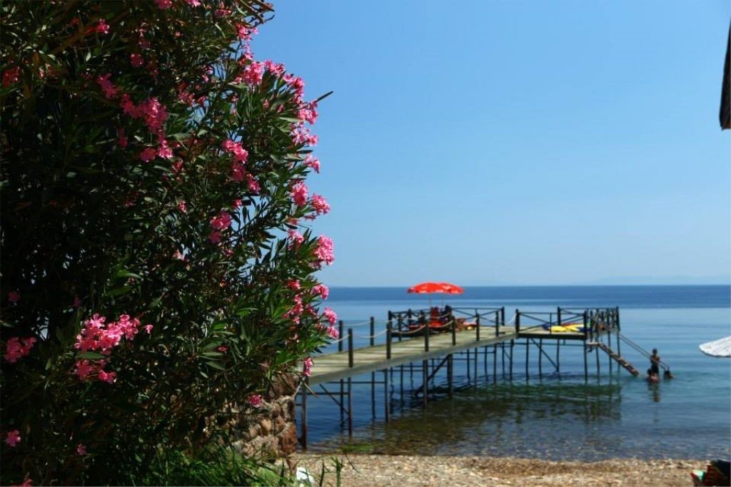 Photo of Others in Ayvacik