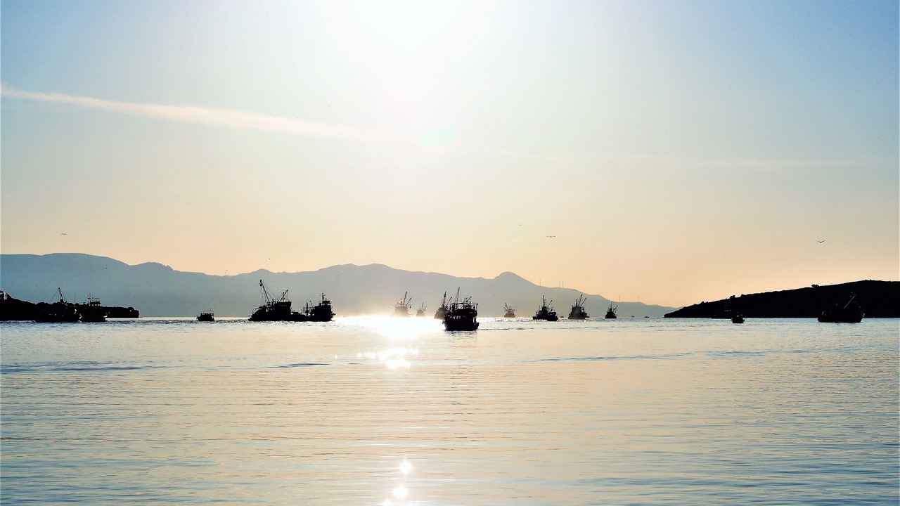Photo of Others in Foca