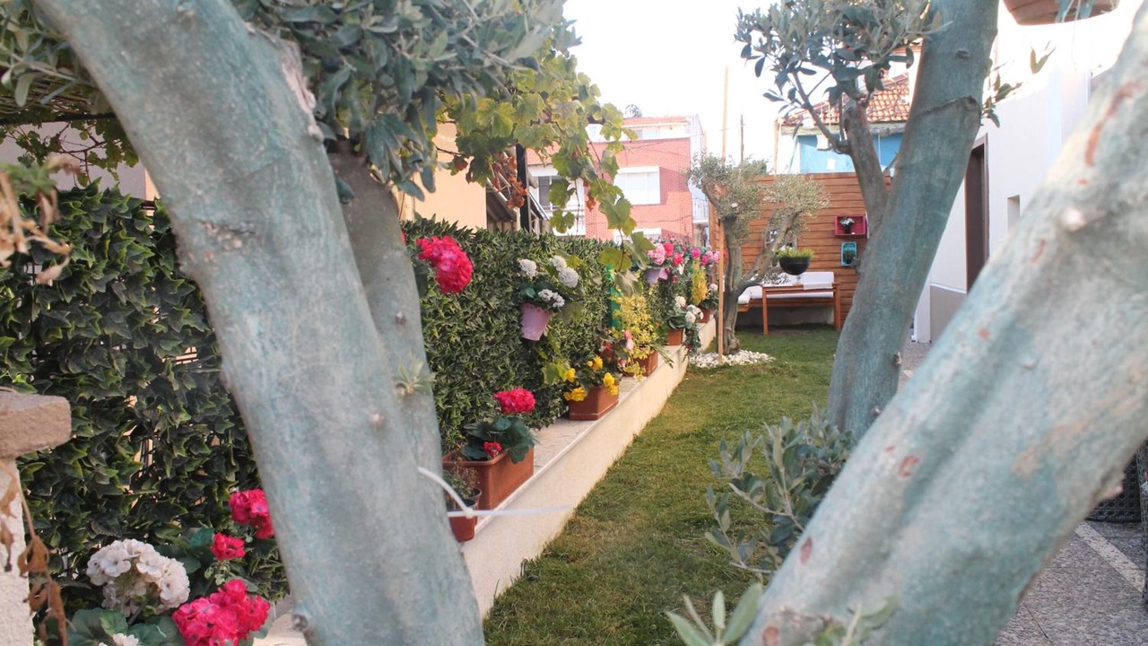 Photo of Outdoor in Dikili