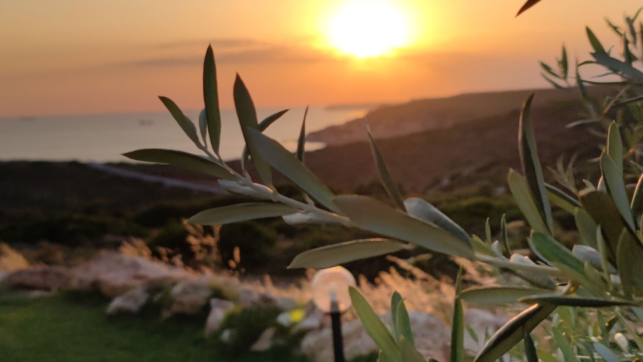 Photo of Outdoor in Bozcaada
