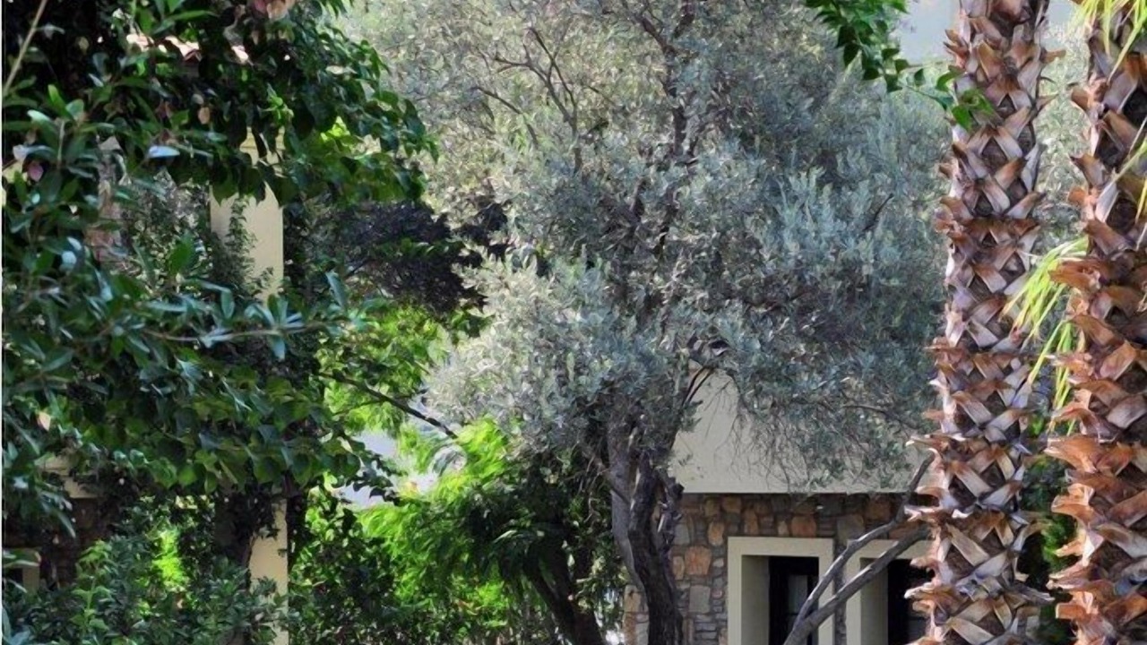 Photo of Outdoor in Torba