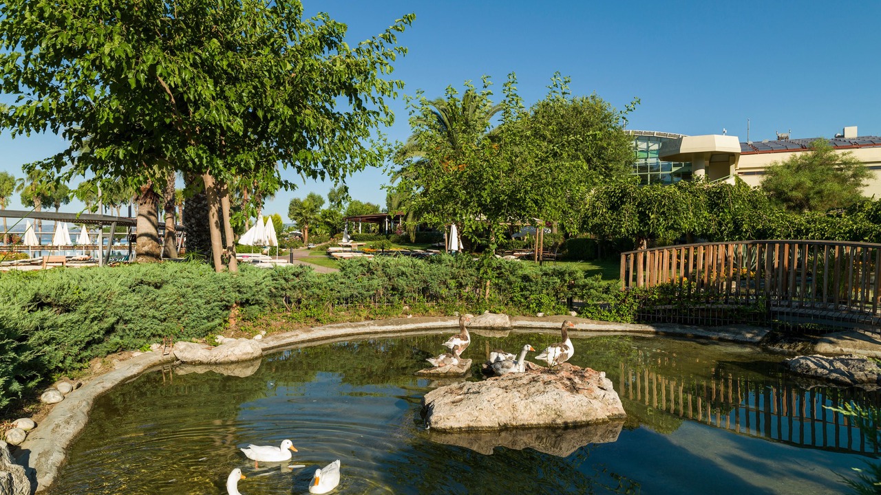 Photo of Outdoor in Yaniklar