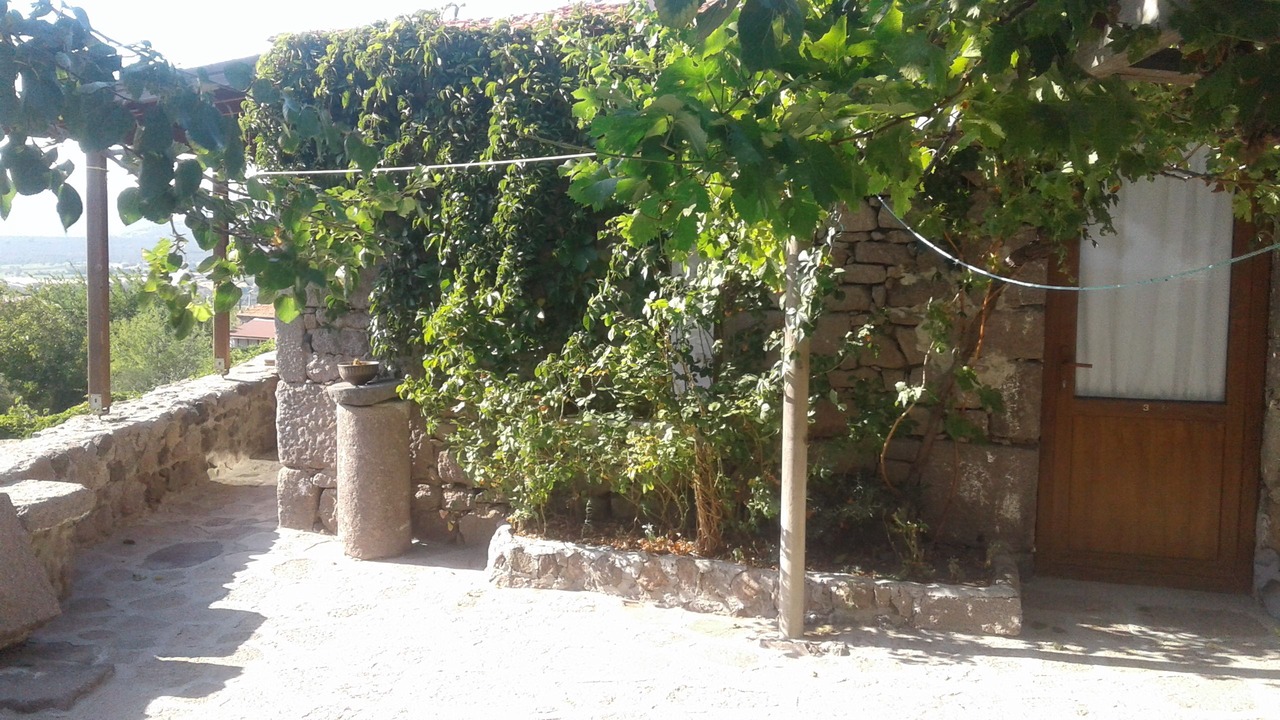 Photo of Outdoor in Behram