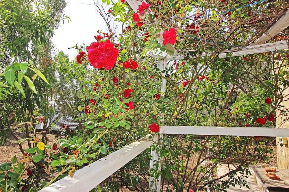 Photo of Outdoor in Bozcaada